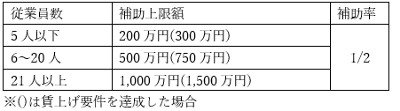 中小企業省力化投資補助金　カタログ注文型の補助額と補助率一覧表
