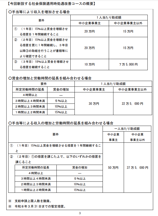 社会保険適用時処遇改善コースの概要